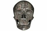 Polished Skull of Crinoidal Limestone #127579-1
